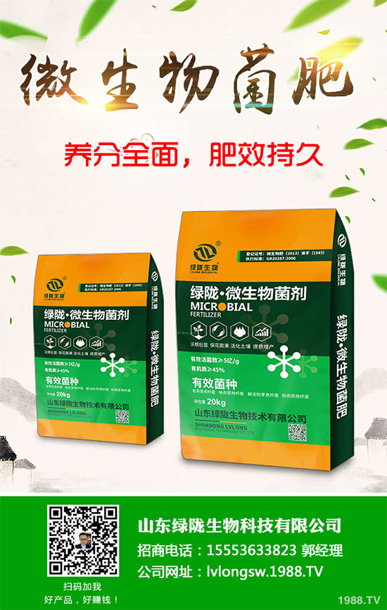 荊芥該如何種植？荊芥的種植環(huán)境要求