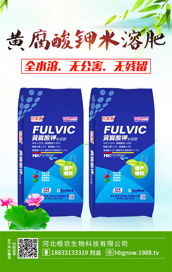 紅肉蜜柚該如何種植？紅心蜜柚高產(chǎn)種植技術(shù)