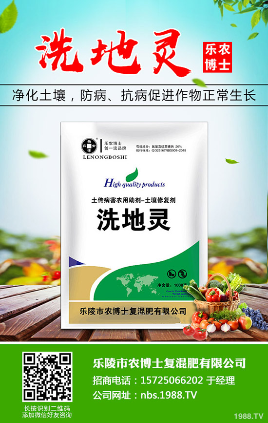 莧菜什么時候種植，莧菜的種植時間和方法！