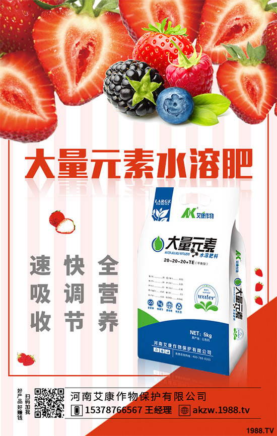 老虎姜該怎么種植？老虎姜高產(chǎn)種植技術(shù)管理