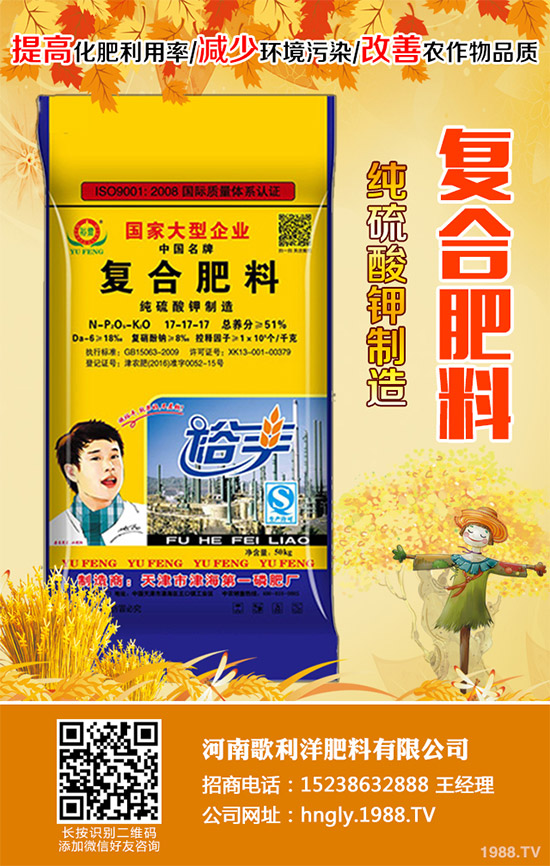 老虎姜該怎么種植？老虎姜高產(chǎn)種植技術(shù)管理