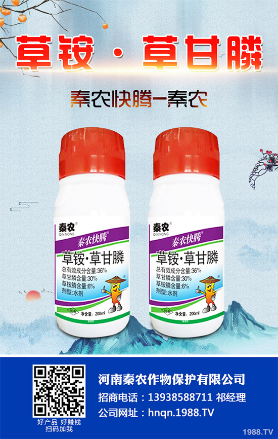 Prentiss�������������s�ݳ��݄�Camp-D ��2��4-D�Ͱ��������