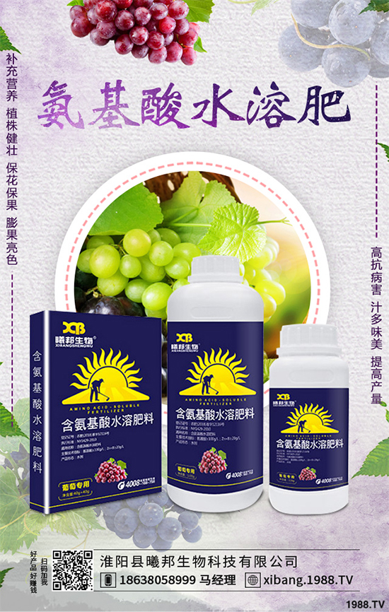 明年種植什么更賺錢？2020年七大賺錢種植項(xiàng)目，快來看看吧！