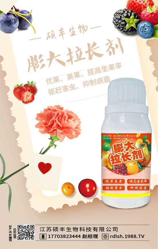 大棚西芹怎么種植？西芹的種植環(huán)境要求！