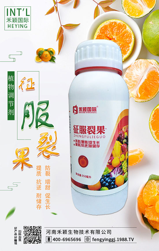 木耳菜什么時(shí)間種植？木耳菜種植方法！