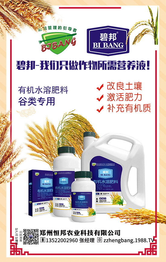 吃天麻有哪些好處？天麻的功效作用及食用禁忌