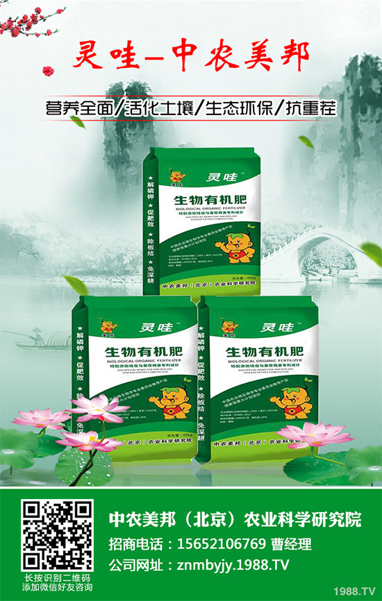 吃天麻有哪些好處？天麻的功效作用及食用禁忌