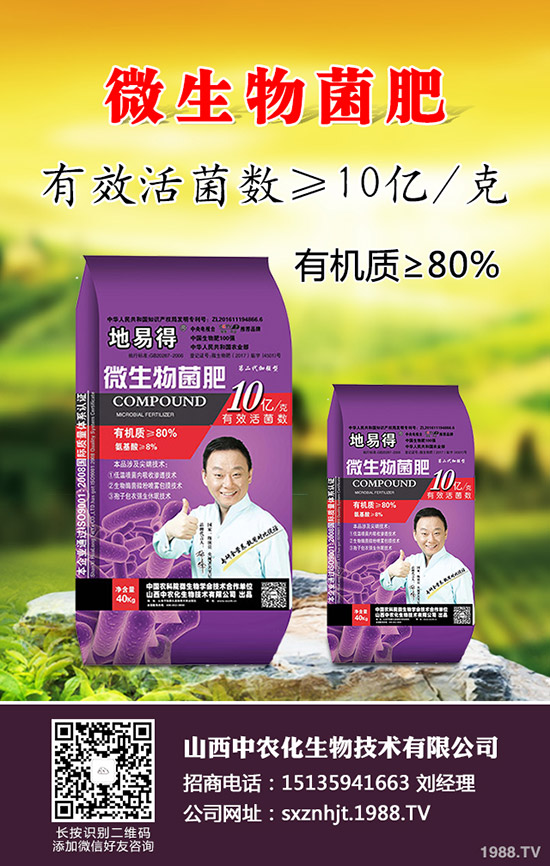     2020早春玉米在那些地區(qū)種植合適？春玉米種植播種時期及技術要點！