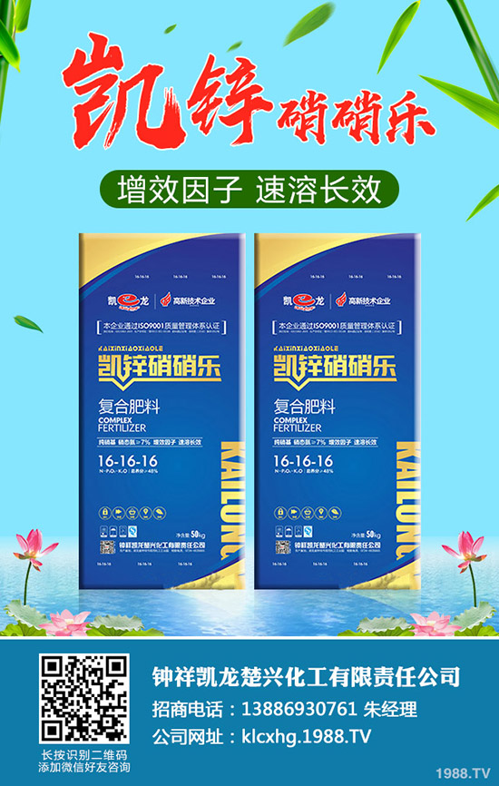 草莓肥害是什么原因，如何避免草莓肥害的發(fā)生？