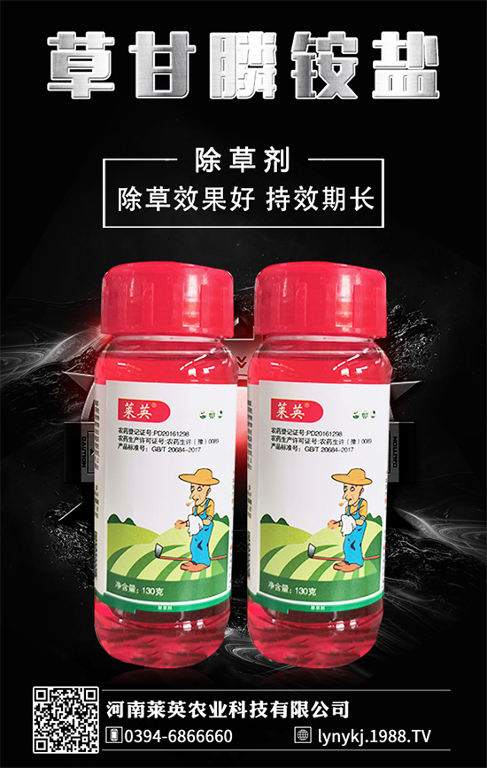     橙子價格如何？貴么？2020種植橙子賺錢么？種植前景怎么樣？