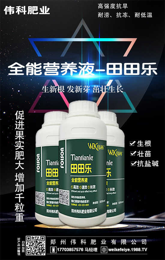     橙子的營養(yǎng)價(jià)值有哪些？功效與作用有哪些？不易哪些人群食用？