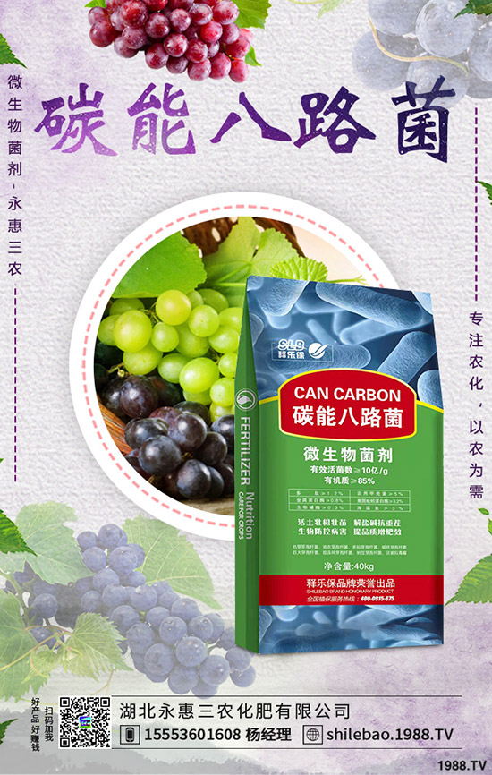     2020年1月1日新的一年磷銨價格行情怎樣？今日一銨出廠參考報價！