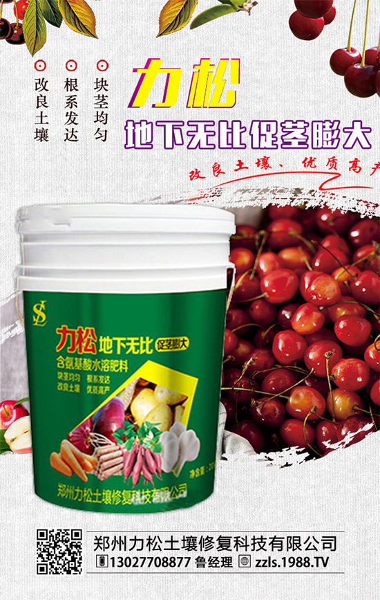     2019-12-4���@�������M(j��n)�������������@�r��������������