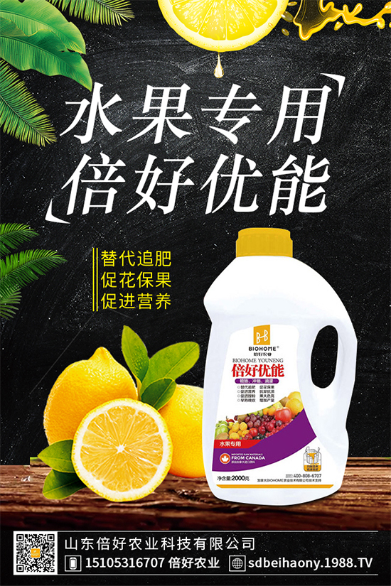 木耳菜有哪些營養(yǎng)價值？木耳菜的功效作用