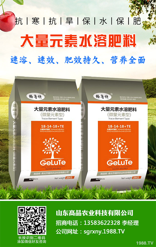 木耳菜如何過(guò)冬?木耳菜冬季管理措施