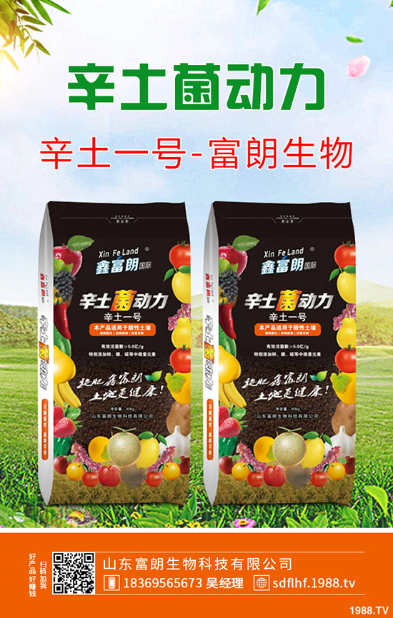 2019年12月6日二銨交投持續(xù)清淡!今日最新二銨主流出廠報價!