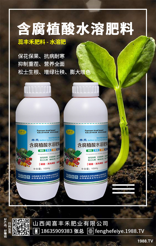 盆栽蔬菜該怎么種?盆栽蔬菜的高產(chǎn)種植技術