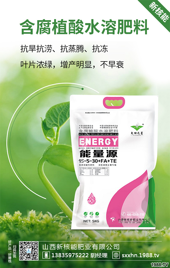 盆栽蔬菜該怎么種?盆栽蔬菜的高產(chǎn)種植技術