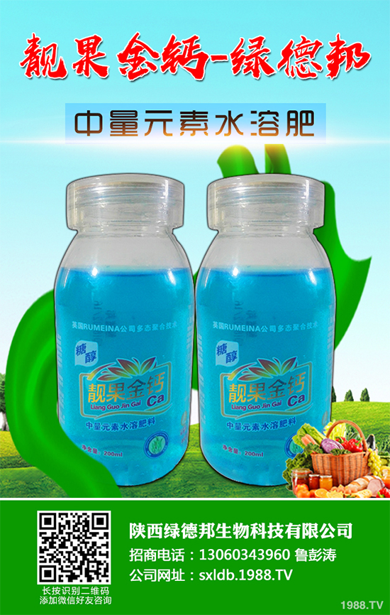 盆栽蔬菜有哪些品種？盆栽蔬菜的種植條件和注意事項