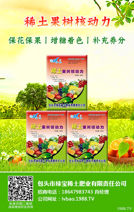 大棚西瓜該怎么育苗，大棚西瓜育苗需要掌握哪些知識