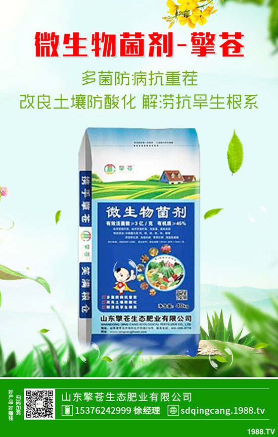 2019-12-7磷酸一銨行情低迷!今日一銨最新價(jià)格早報(bào)!