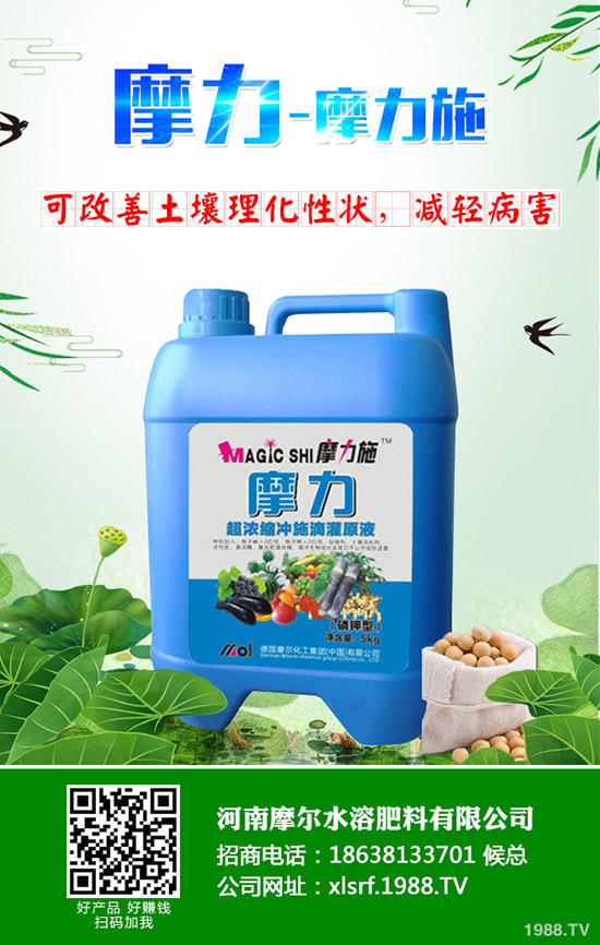 �����ʲô���Ϻ������ʩ�ʼ��g(sh��)����Щ��