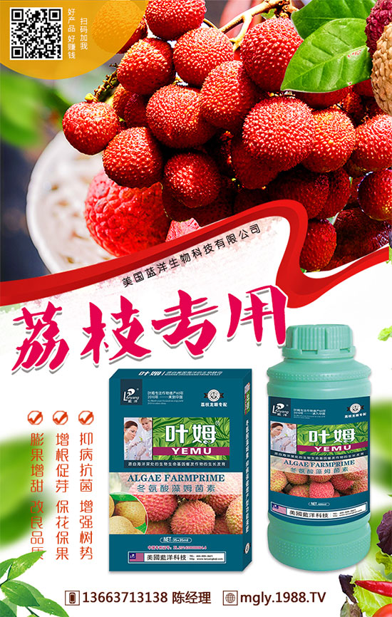 �t�탦�ص��������t�탦������Щ������