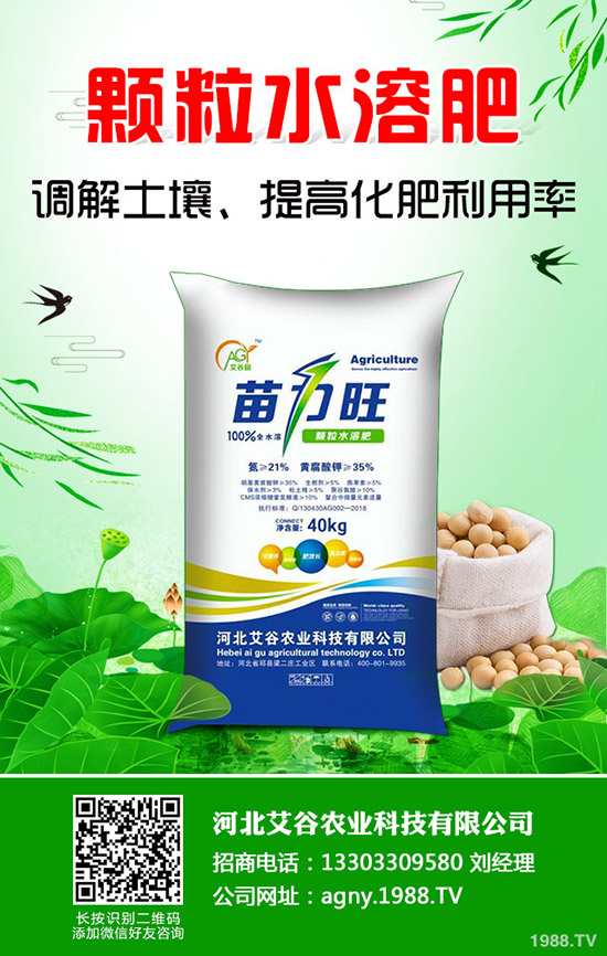 西瓜種植要高產(chǎn)，不可不看這一篇！全面實(shí)用