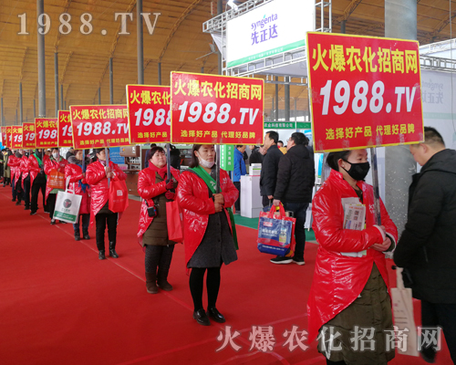     2019第30屆河北植保會，火爆農(nóng)化網(wǎng)見證行業(yè)盛會再創(chuàng)佳績！