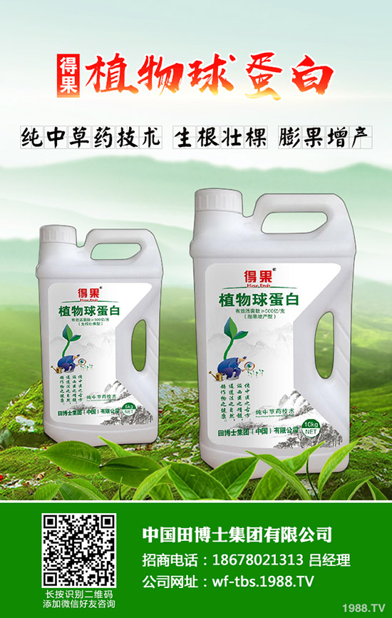 秋季種植什么蔬菜比較好!效益比較好!秋季種植指南!