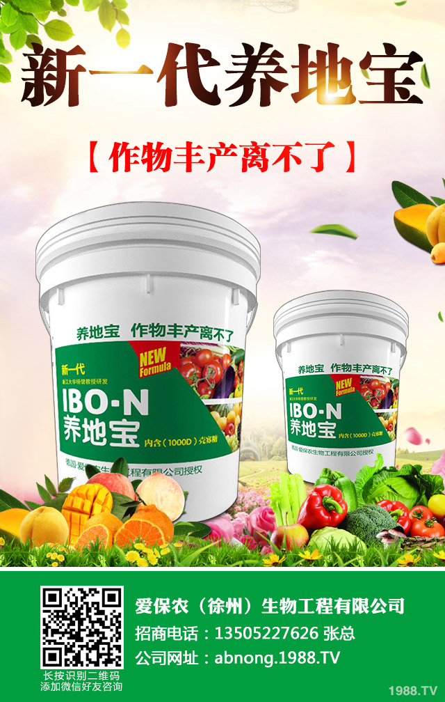 油菜葉紅苗缺什么？油菜紅苗的因素及防治