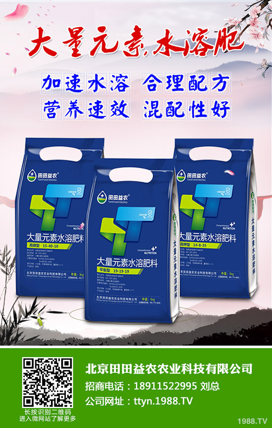     2019��8��24�գ����������Ȼ�⛃r(ji��)����?q��ng)?b��o)��⛷���I(y��)���S(ch��ng)�����r(ji��)һ�[