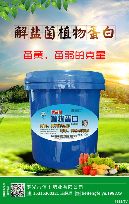 芹菜立枯病時(shí)如何引起的？該怎樣預(yù)防？芹菜立枯病大預(yù)防措施