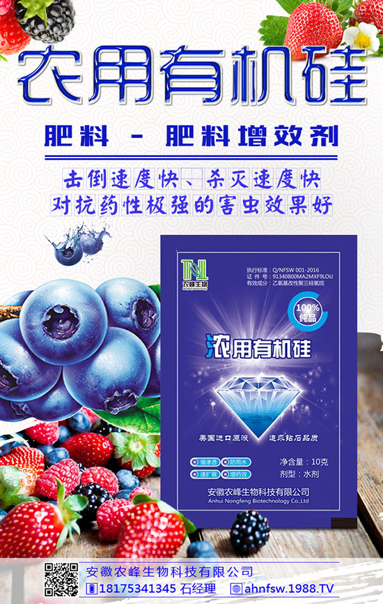 枸杞得了炭疽病怎么辦？枸杞炭疽病危害及防治方法！