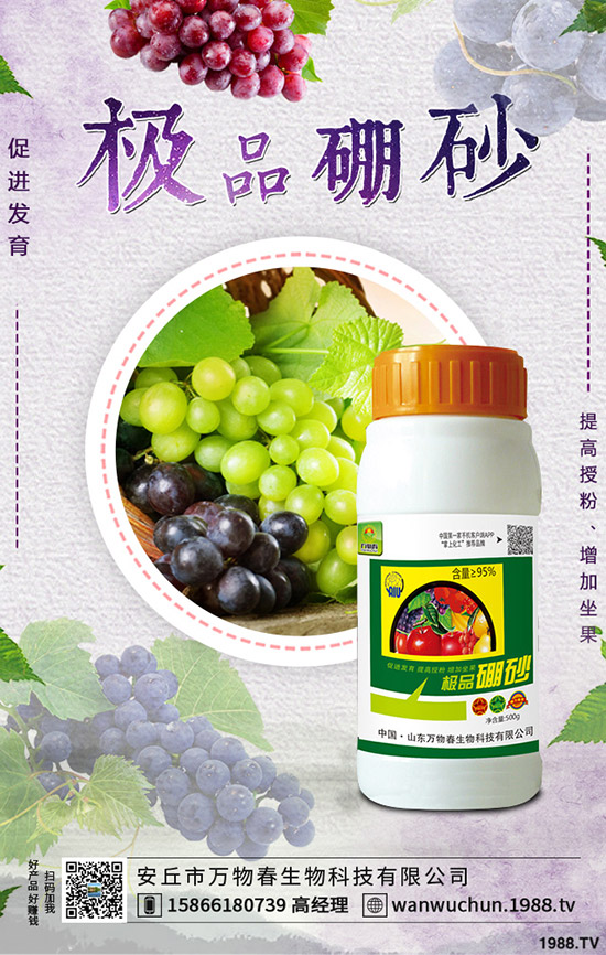 枸杞如何種植，枸杞種植條件有哪些？