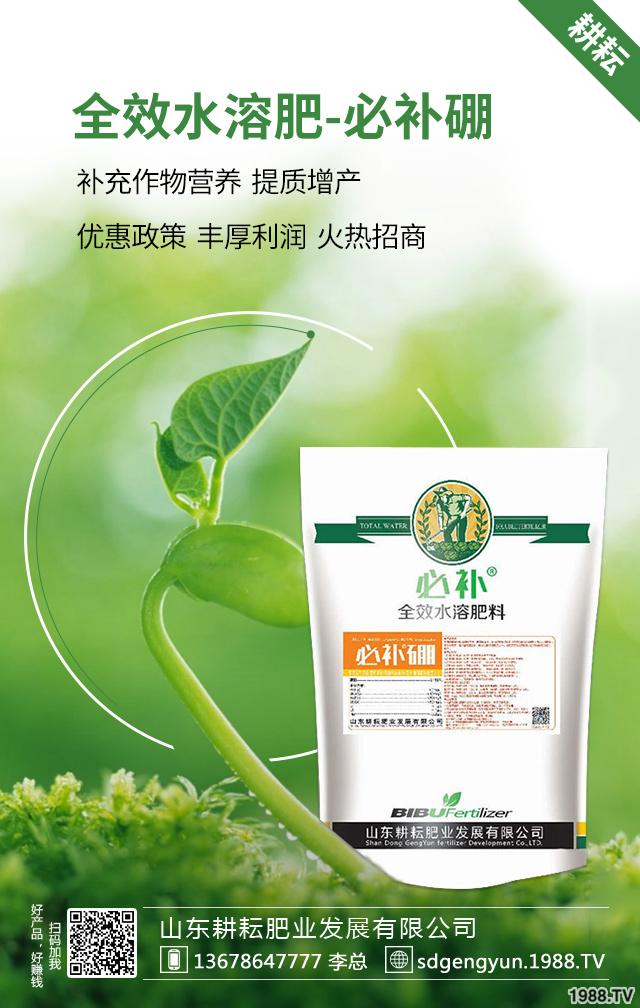 毛豆種植如何提高產(chǎn)量？毛豆高產(chǎn)施肥技術