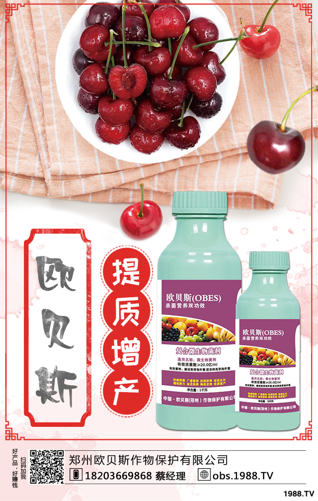 西洋梨如何種植?西洋梨樹栽培技術(shù)