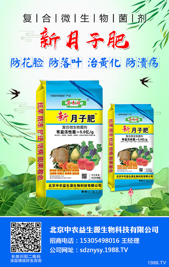 秋季大白菜什么時候種植合適？秋季大白菜的種植時間及種植方法