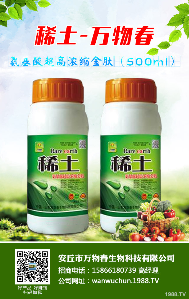 大蔥種植怎么管理？秋季大蔥管理好方法
