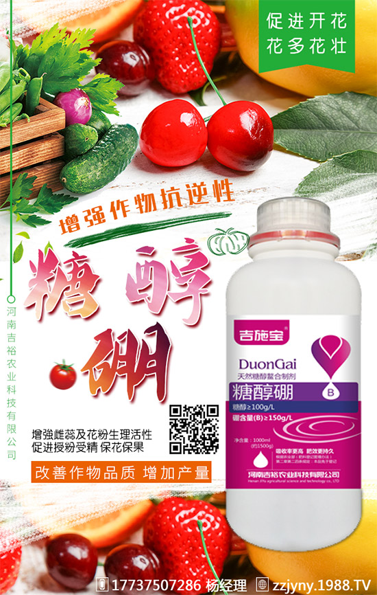 葡萄缺硼在果上葉上表現(xiàn)癥狀！什么時(shí)候補(bǔ)硼？葡萄補(bǔ)硼時(shí)間及技術(shù)！