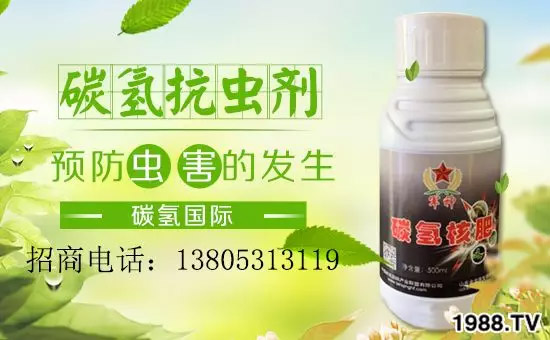 �����������L���߉��������ͷ���Ѹ������������ƌW(xu��)���L���g�޴���