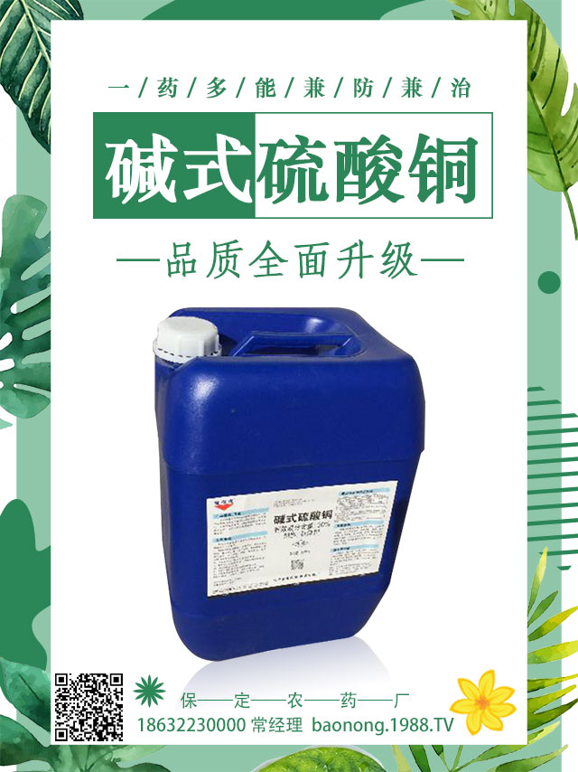 茄子土傳病害怎么辦？茄子嫁接可避免土傳病害