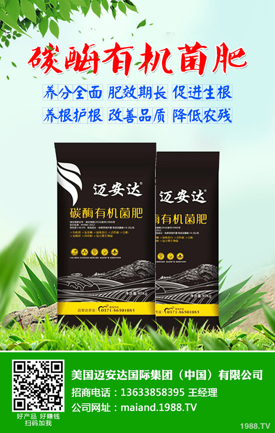 土豆什么時候種，土豆播種應注意哪些問題？