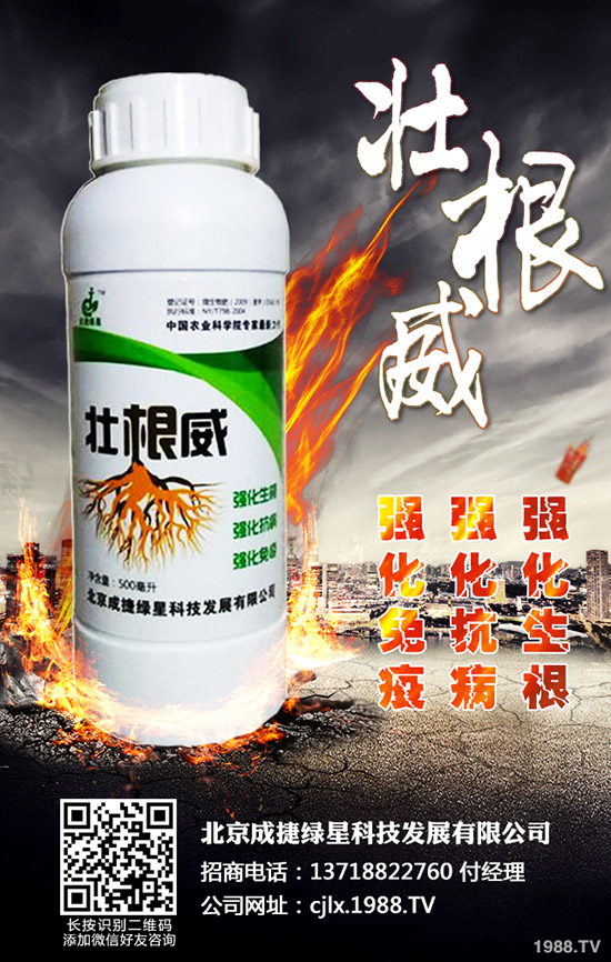 青椒的種植方法有哪些？青椒種植過程中需要注意的幾大問題