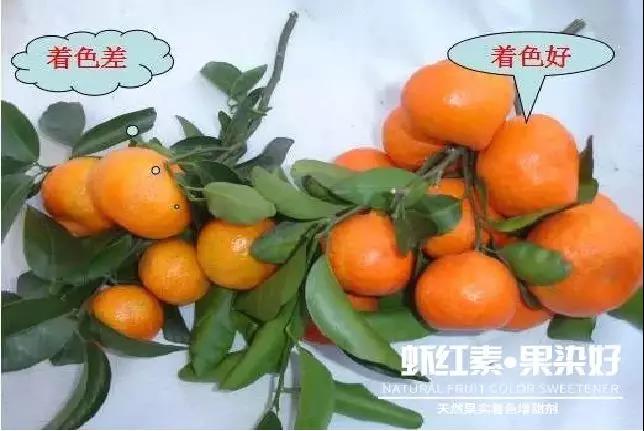 天然果實(shí)著色增甜劑——蝦紅素●果染好!