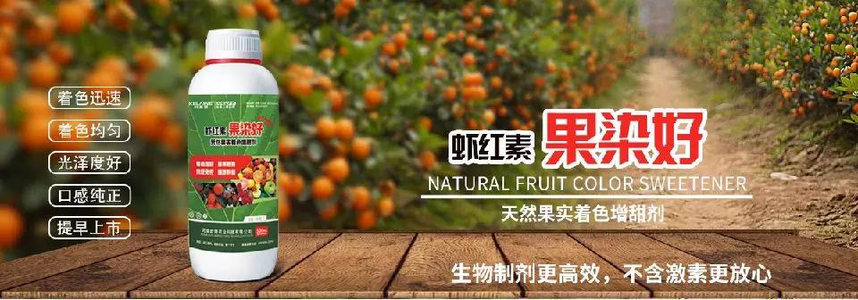 天然果實(shí)著色增甜劑——蝦紅素●果染好!