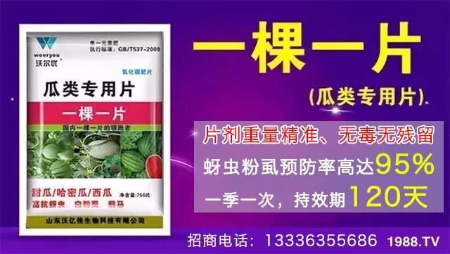 蚜蟲(chóng)、飛虱防不???一片藥輕松搞定!預(yù)防率95%,持效長(zhǎng)達(dá)120天!