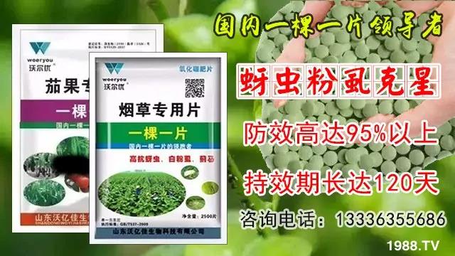 蚜蟲(chóng)、飛虱防不?。恳黄庉p松搞定!預(yù)防率95%,持效長(zhǎng)達(dá)120天!