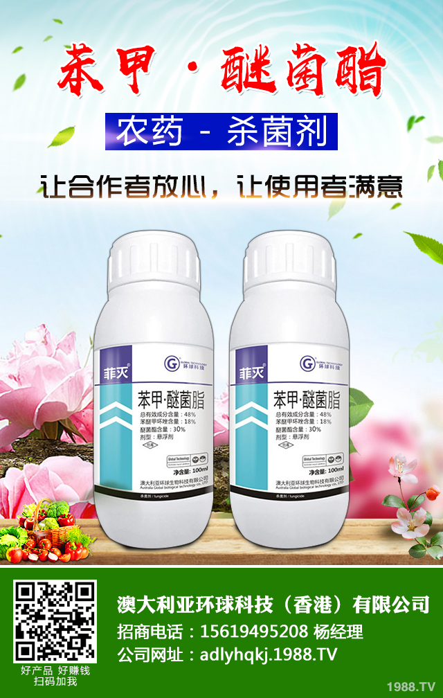 香蔥霜霉病了怎么辦?香蔥霜霉病防治技巧