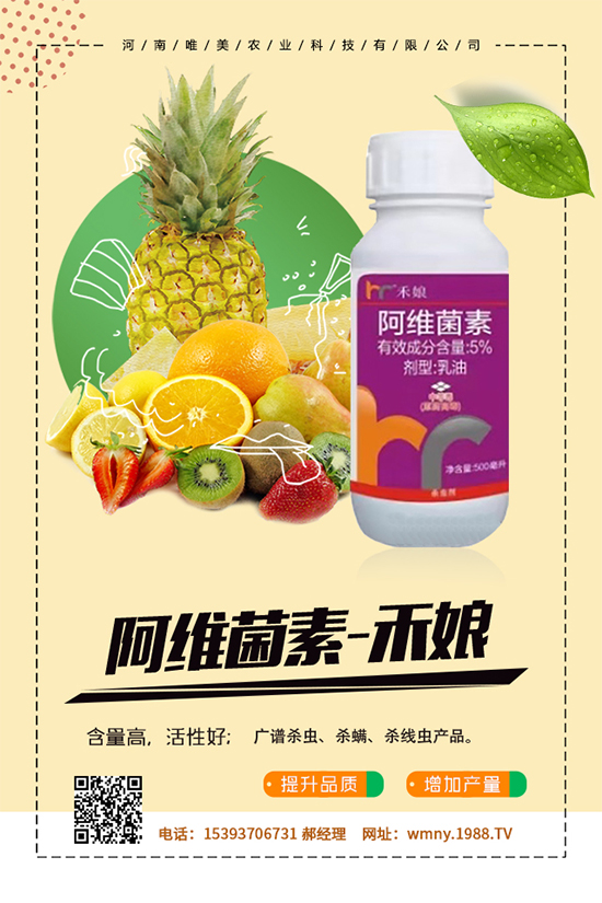 秋葵怎么種植？秋葵的種植技術(shù)